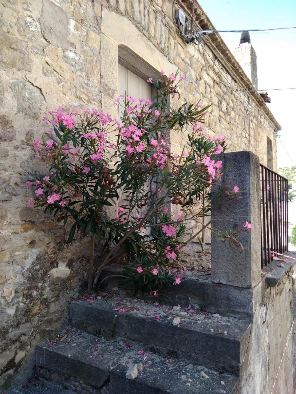 Holiday home La Casetta Di Vany *